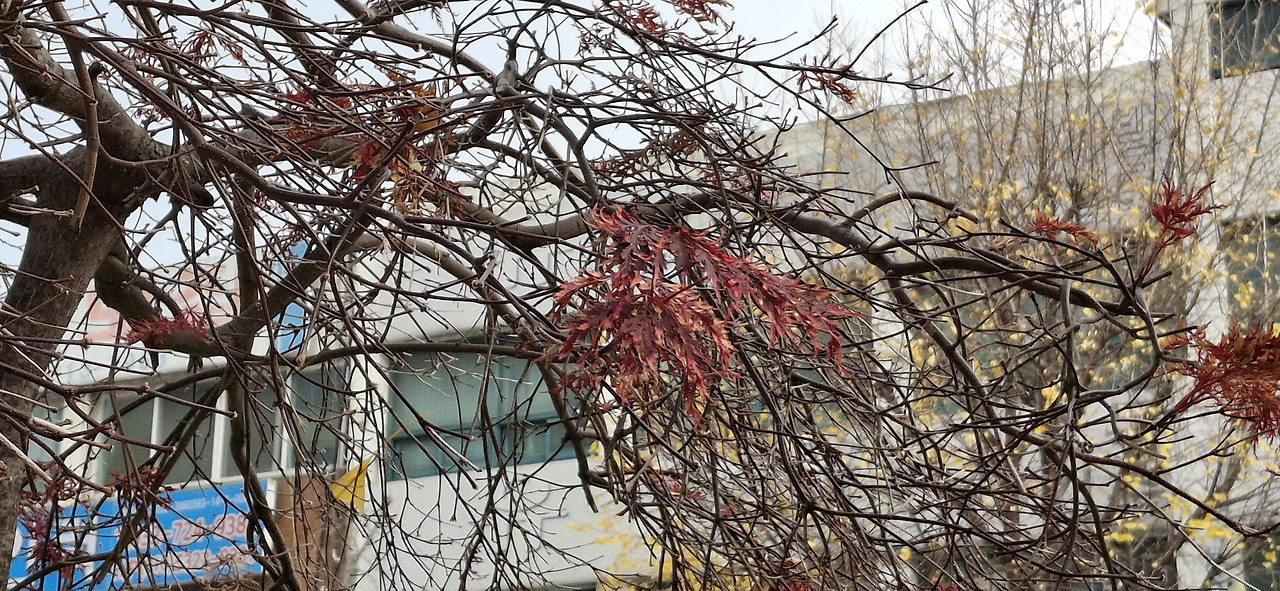 다운로드 (6).jpg