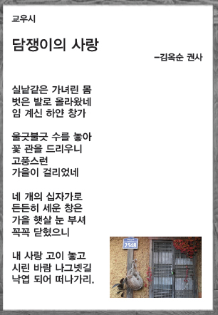 damjang.jpg